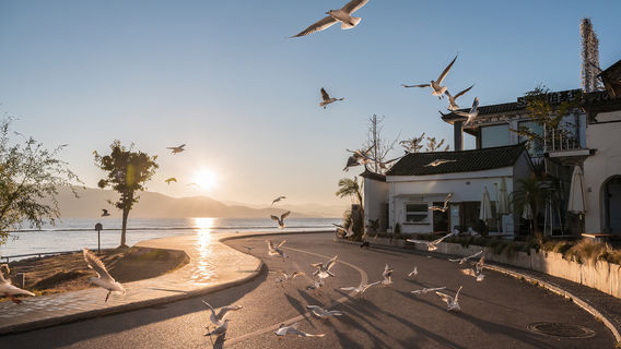 Sunset Sightseeing in Dali