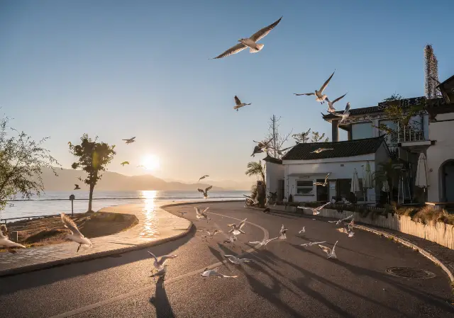 Sunsets in Dali
