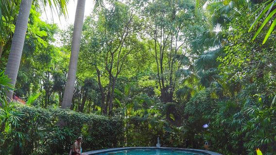 Julong Bay Hot Springs