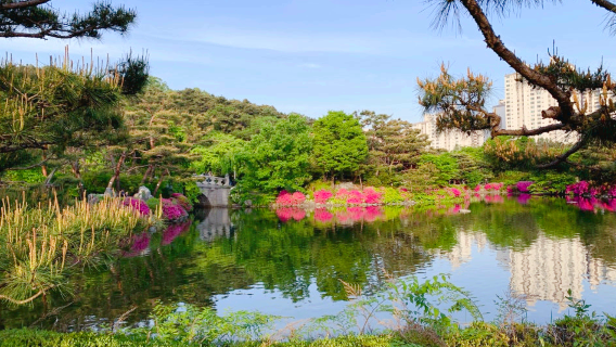 Bundang Central Park