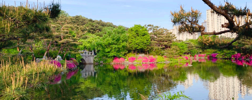 Bundang Central Park