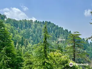 Lal Tibba Scenic Point