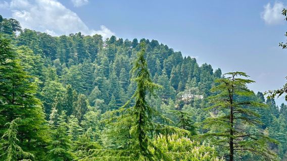 Lal Tibba Scenic Cafe