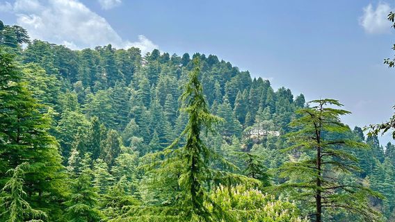 Lal Tibba Scenic Cafe