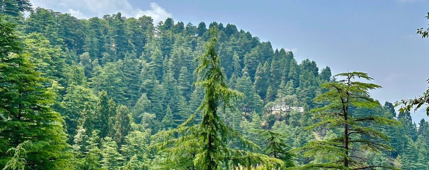 Lal Tibba Scenic Cafe