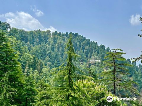 Lal Tibba Scenic Cafe