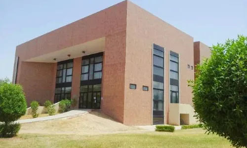 Musee National N'Djamena (National Museum)
