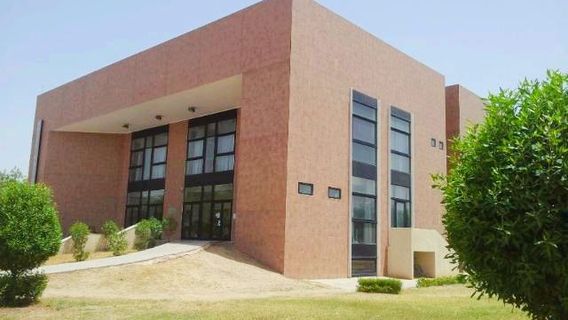 Musee National N'Djamena (National Museum)