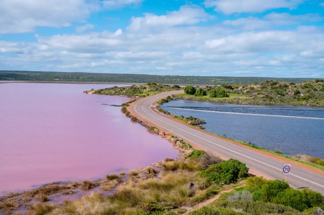 Hotels near Hutt Lagoon