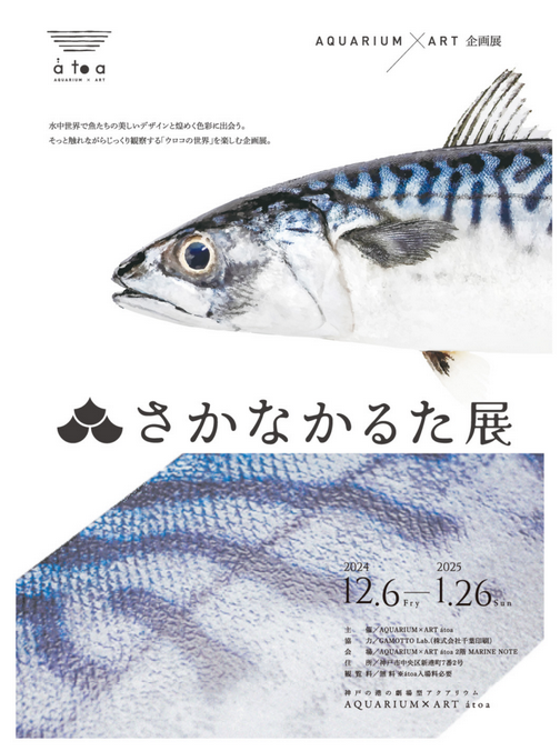 《Sakana Karuta》感受魚之美藝術展 | 神戶