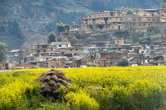 Chengzi Ancient Village