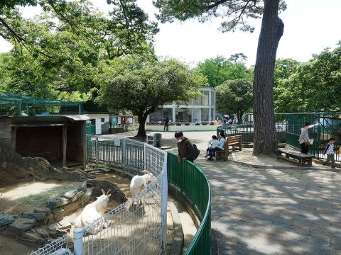 Wakayama Castle Park Zoo