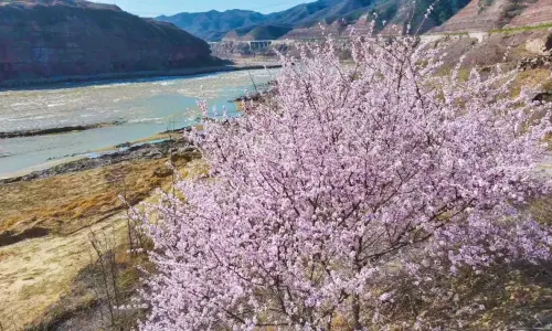 The Hukou Waterfall Scenic Area
