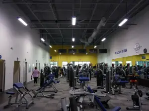 HiTONE Fitness