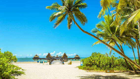 Yi Long Bay Seashore Library