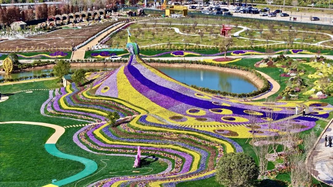 Dounan Rainbow Flower Sea