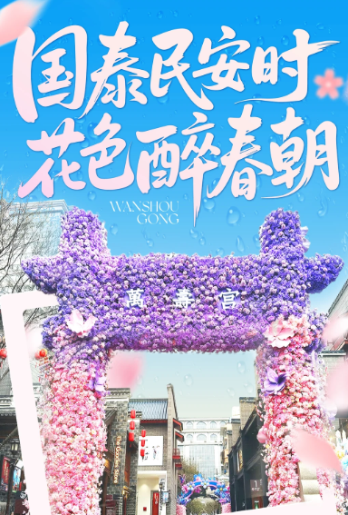 萬壽宮歷史文化街區第六屆花潮節 | 南昌