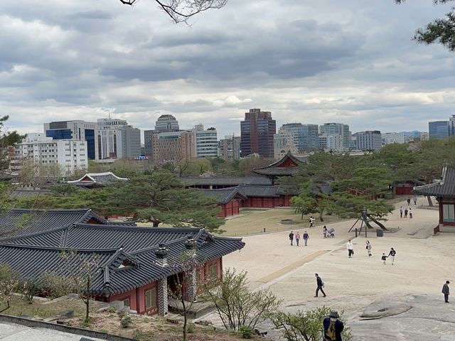봄이 찾아온 창덕궁◡̈ 