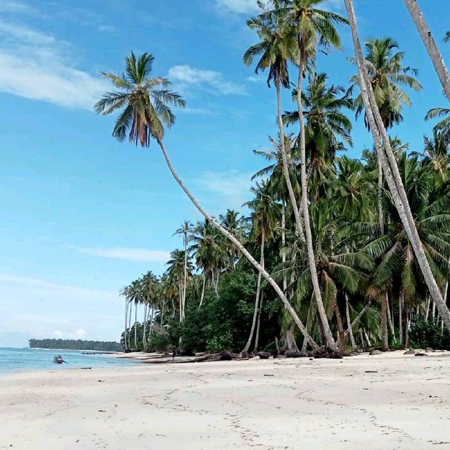 Mentawai Island
