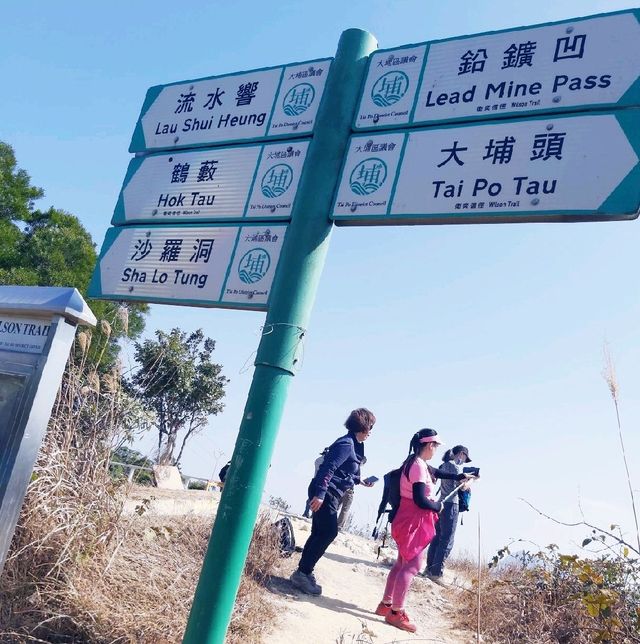 耗體力之行：大埔頭去流水響