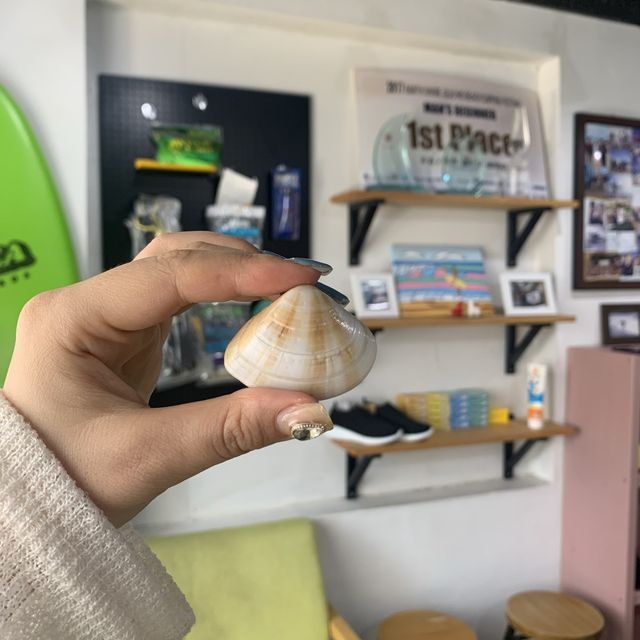 [이호테우 파도에 몸을 싣다, 서핑]
