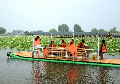 Weishan Island Scenic Area