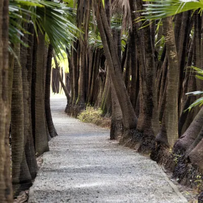 Семейные Отели в г. Цзянмэнь