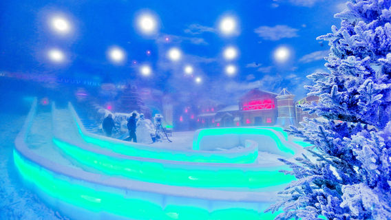 Alps Ice and Snow World