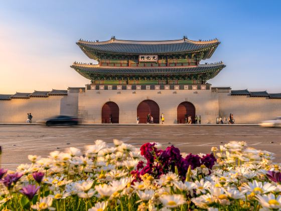 Gwanghwamun Square