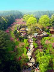 Jianshan Natural Scenic Area