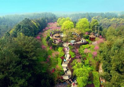 Jianshan Natural Scenic Area