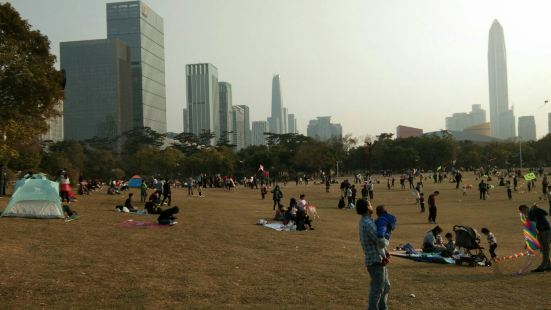 深圳莲花山公园位于市民广场正北的后面，地理位置感觉非常类似北