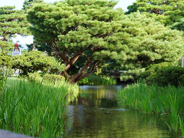 江戶時代大名庭園風格 | 日本旅遊| 兼六園賞夜景