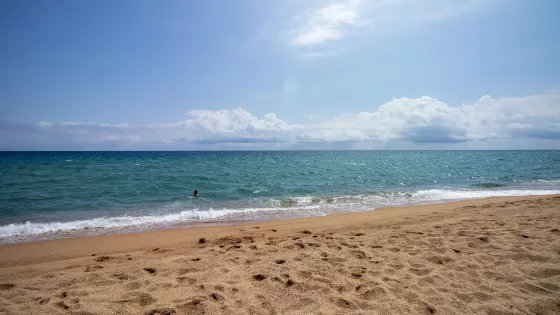 莫法特海灘