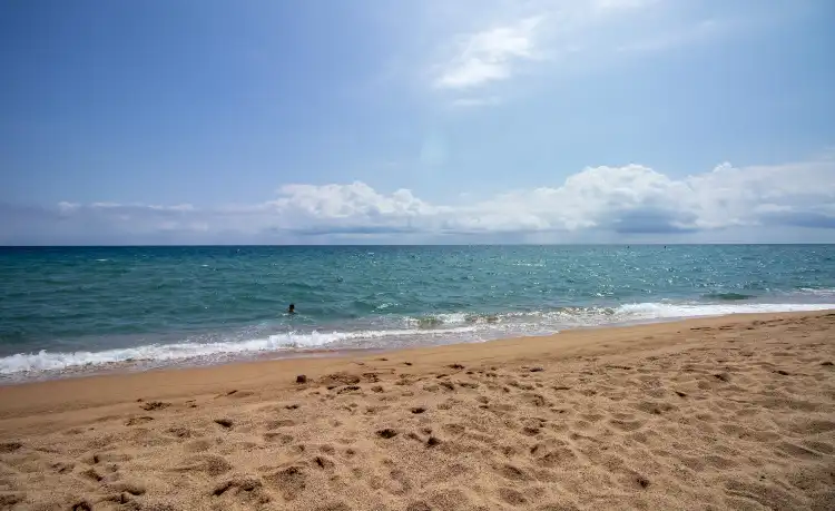 Các khách sạn ở Moffat Beach