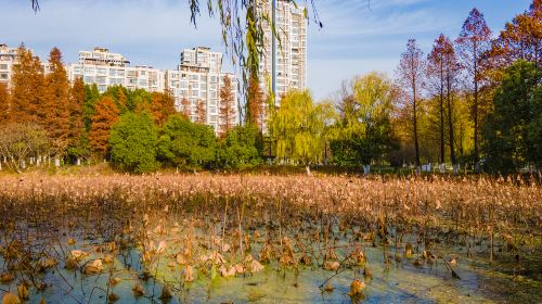 Cuizhu Park