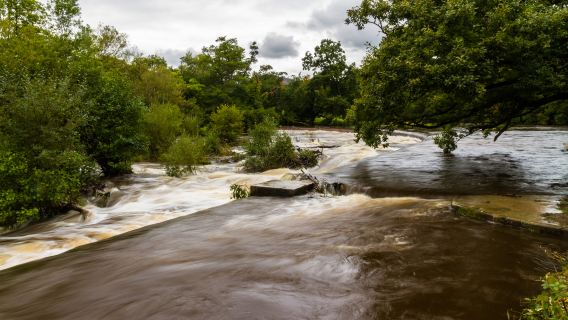 崇左德天跨國瀑布+明仕田園竹筏一日遊【8人小組/獨立包團可選】