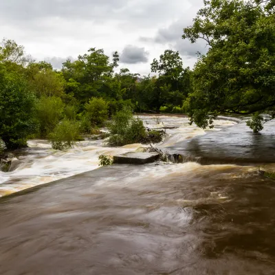 Для бизнес-поездок Отели в г. Дасинь