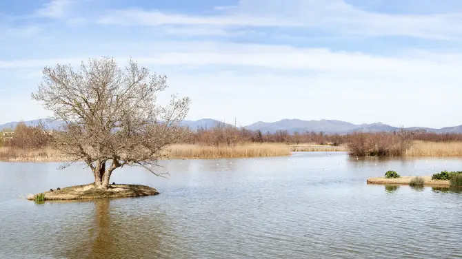 珠海橫琴濱海濕地公園