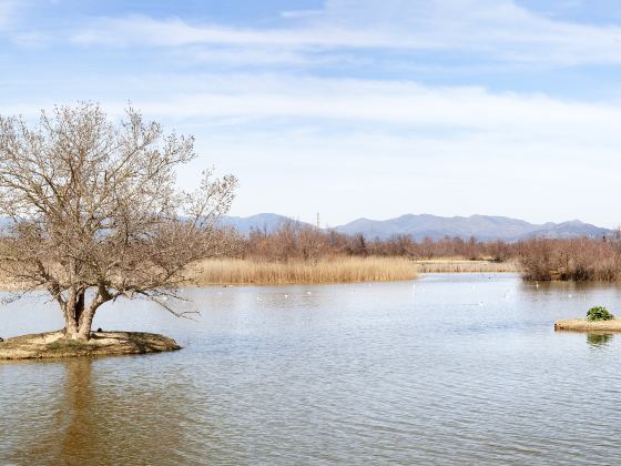 珠海橫琴濱海濕地公園