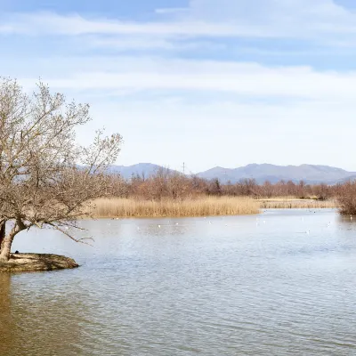 Chimelong Hengqin Bay Hotel (Chimelong Flagship Store)