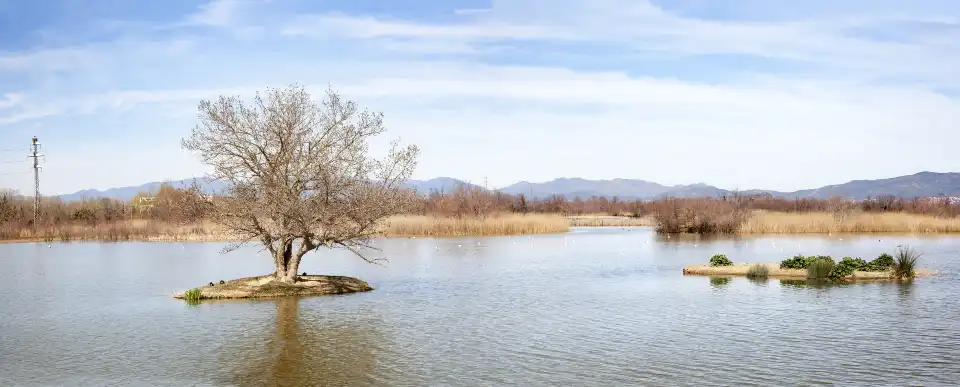 珠海橫琴濱海濕地公園