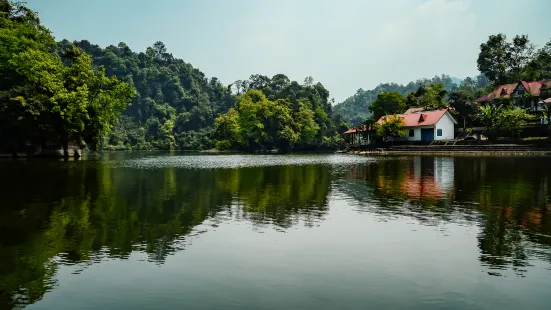 Chaoyang Lake Scenic Area