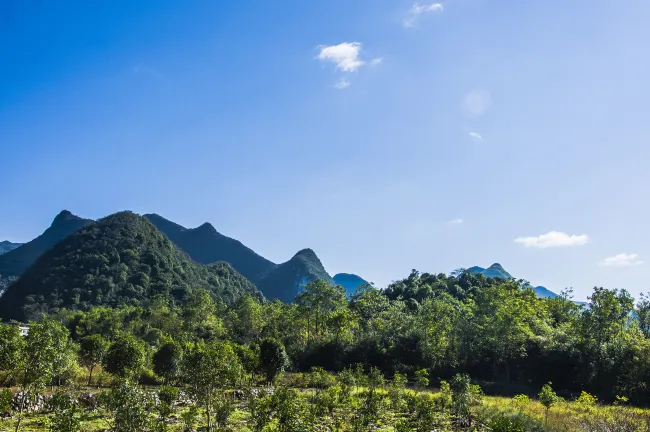 โรงแรมใกล้Zhenxi Palace, Dajueshan Mountain, Jiangxi