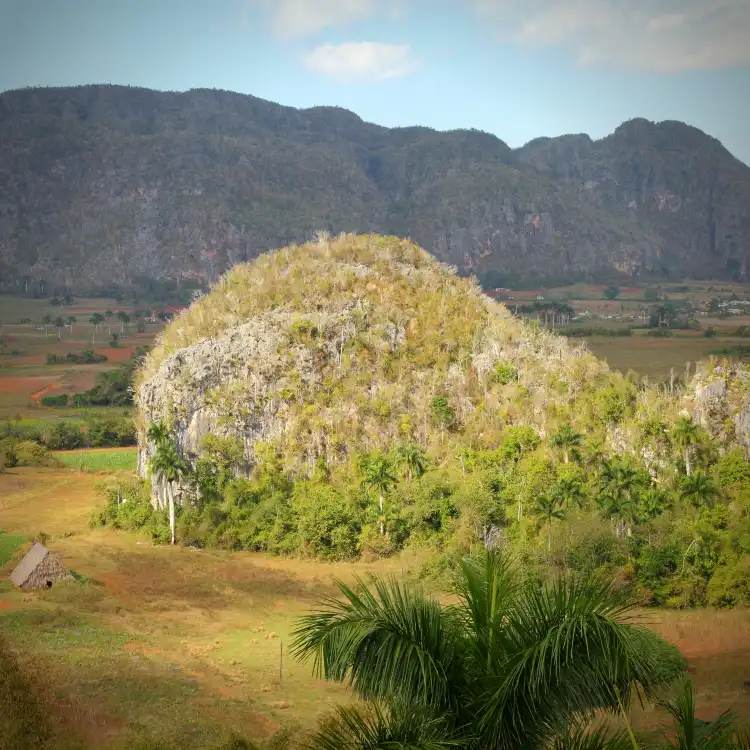 Vinales