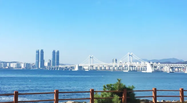 사계절의 매력을 담고 있는 부산 알짜배기 가이드북