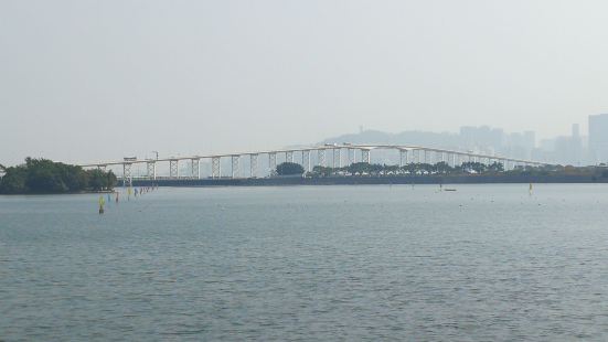 嘉乐庇总督大桥(澳氹大桥Macau-Taipa Bridge