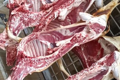 BAI NIAN JIANG HU CAI