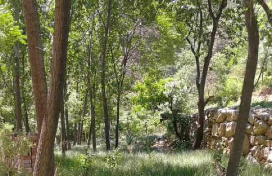Shuanglong Forest Farm, Huanan County