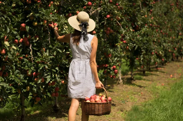 6 Reasons for a Family Holiday in Sydney